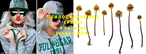 твердый Пролетарск