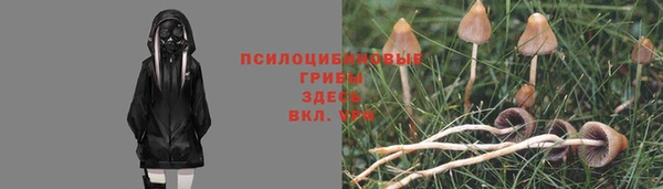 мяу мяу мука Протвино
