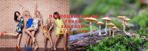 спиды Приозерск